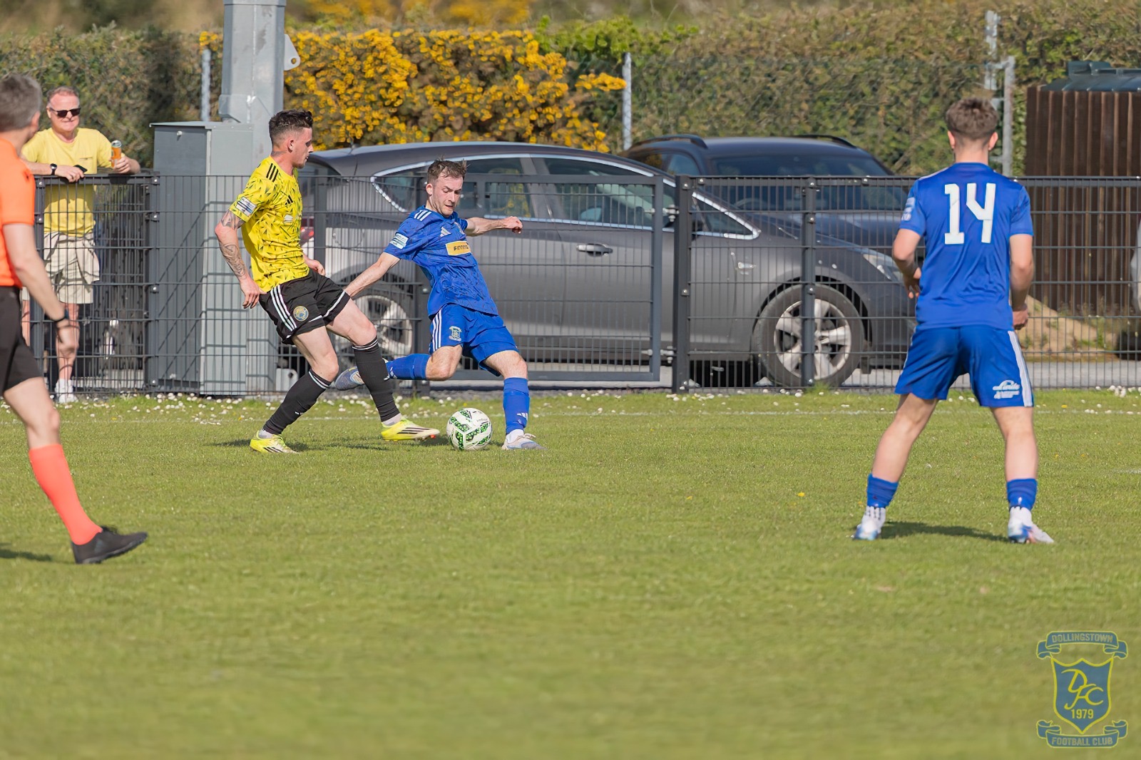 v Moyola