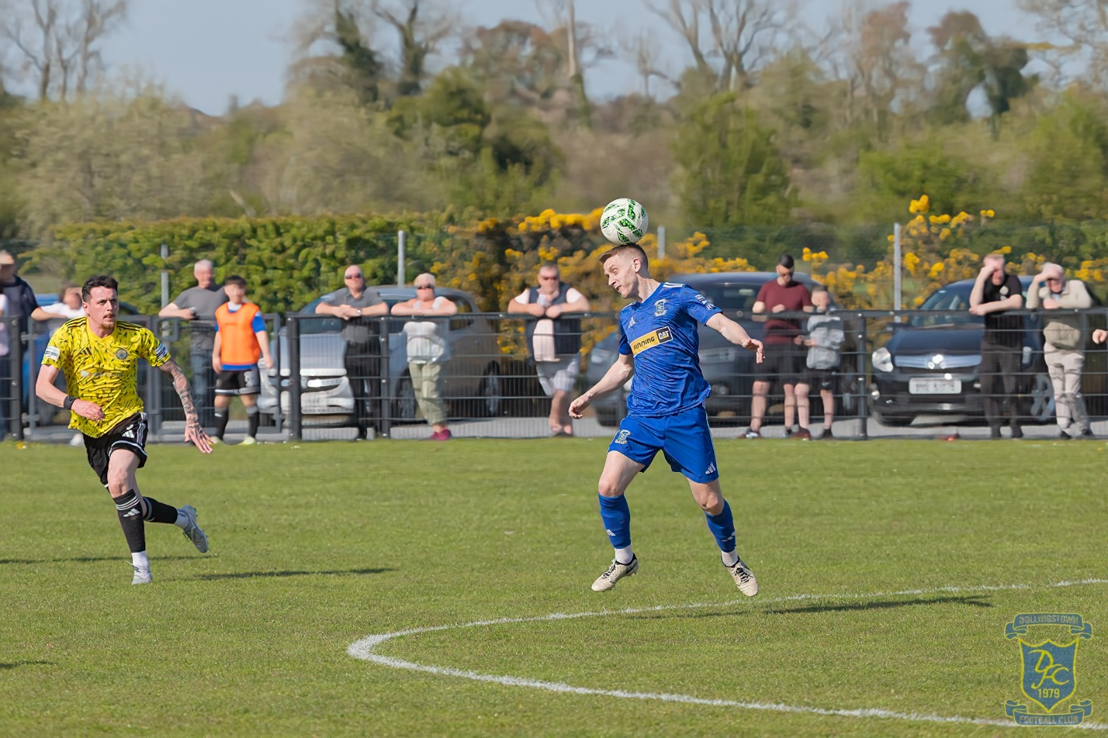 v Moyola