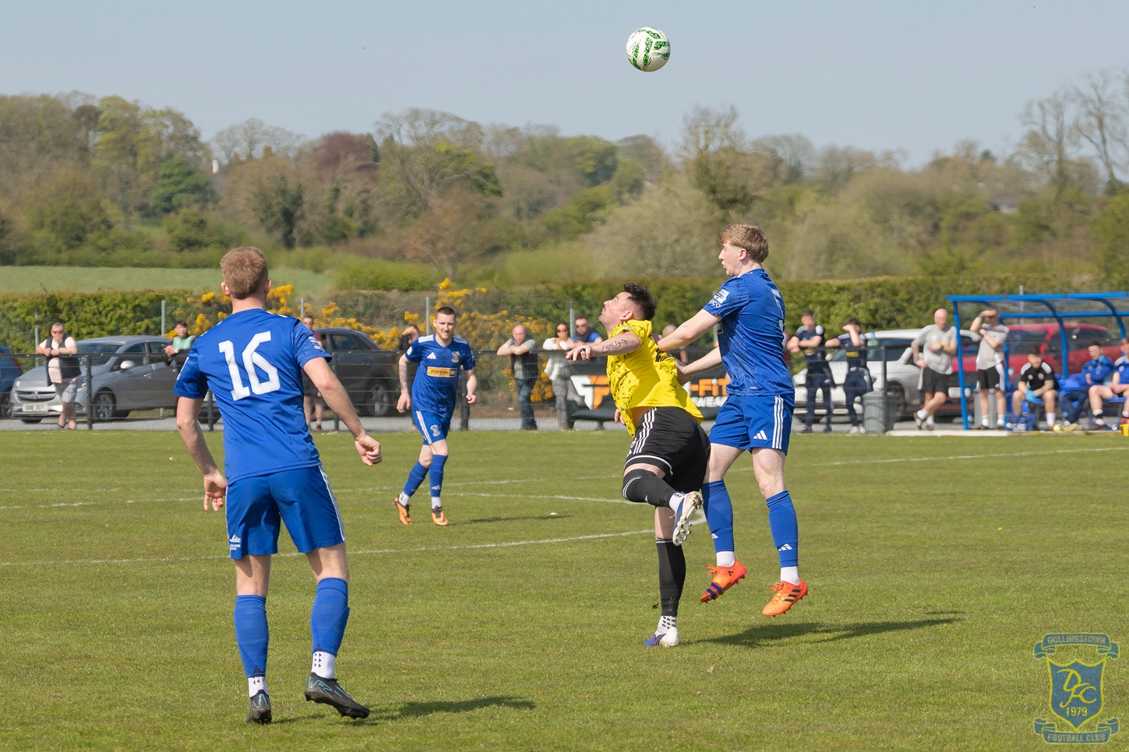v Moyola