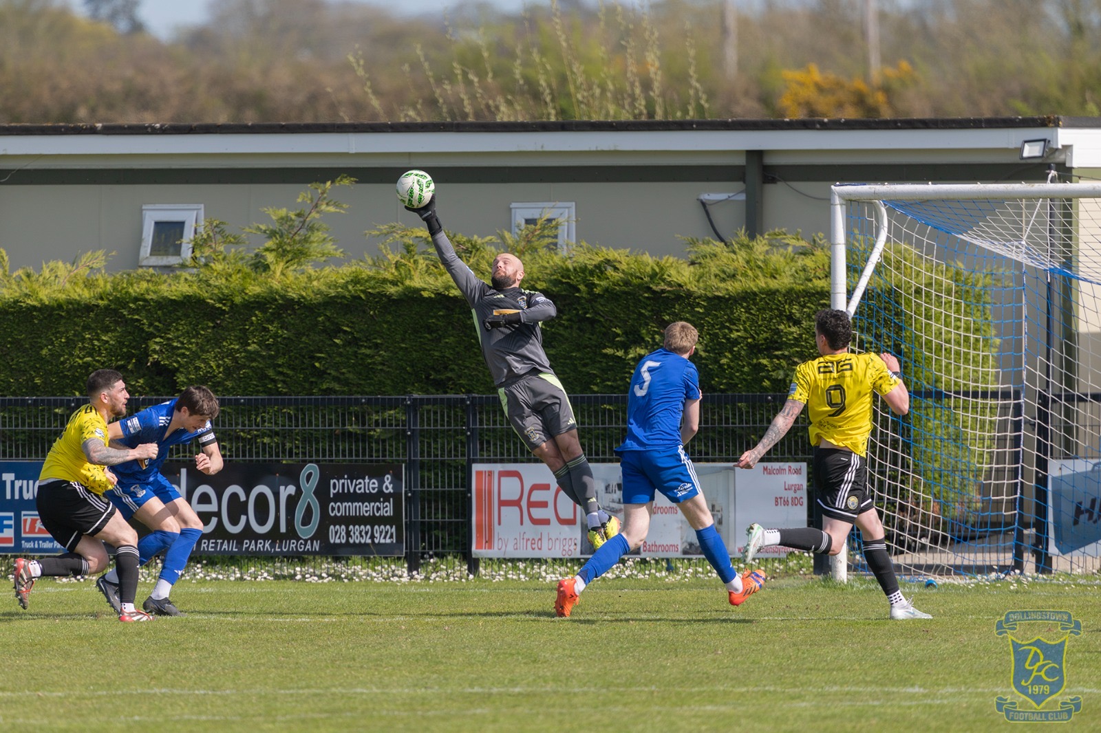 v Moyola