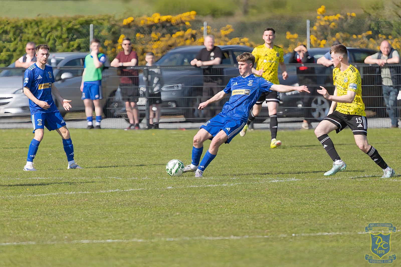 v Moyola