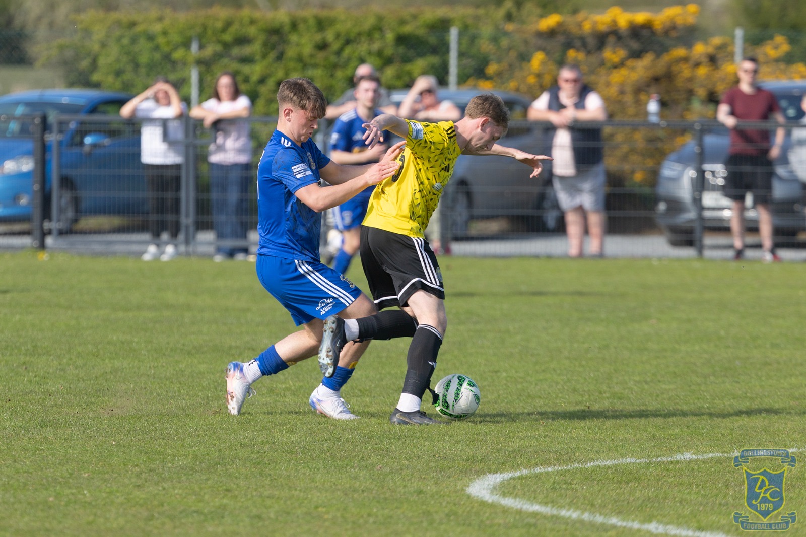 v Moyola
