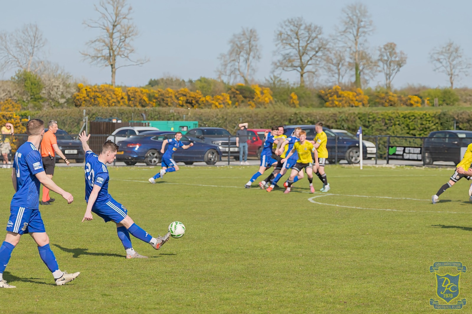 v Moyola
