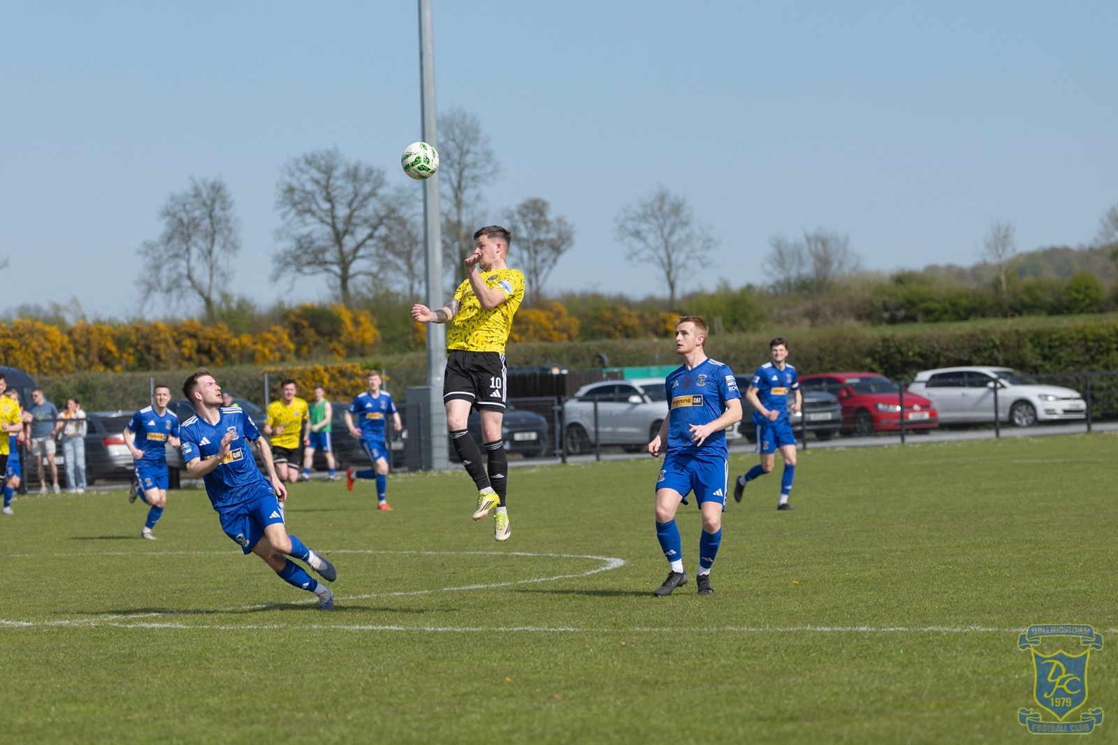 v Moyola
