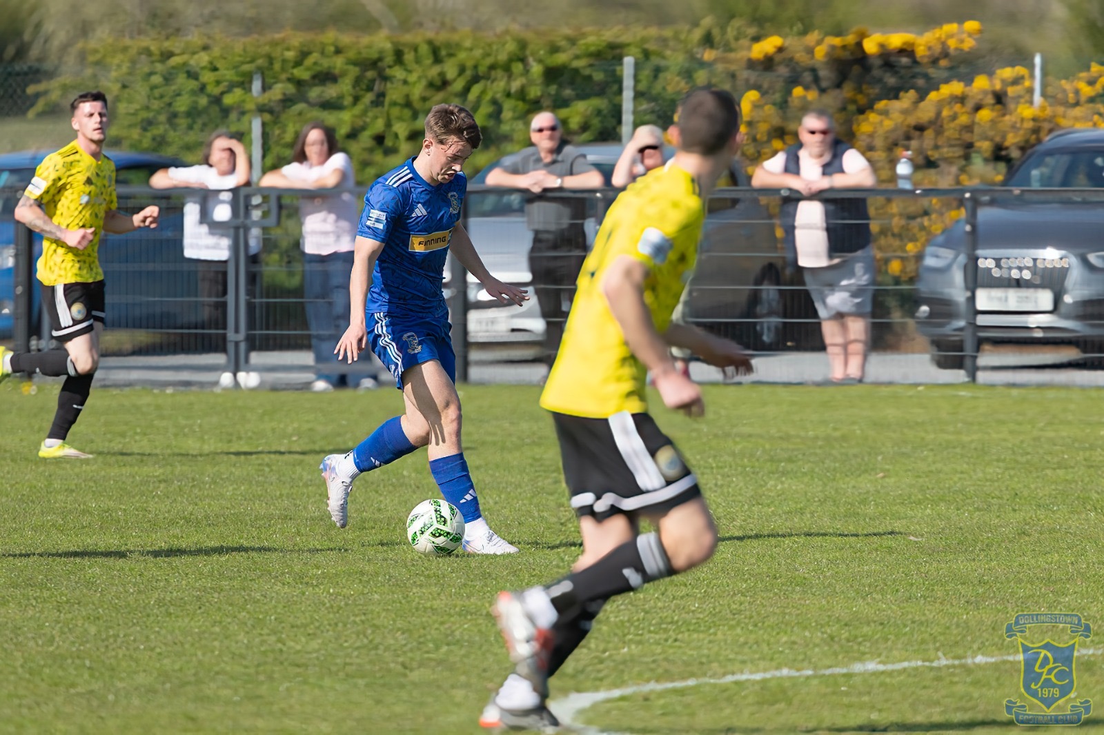v Moyola