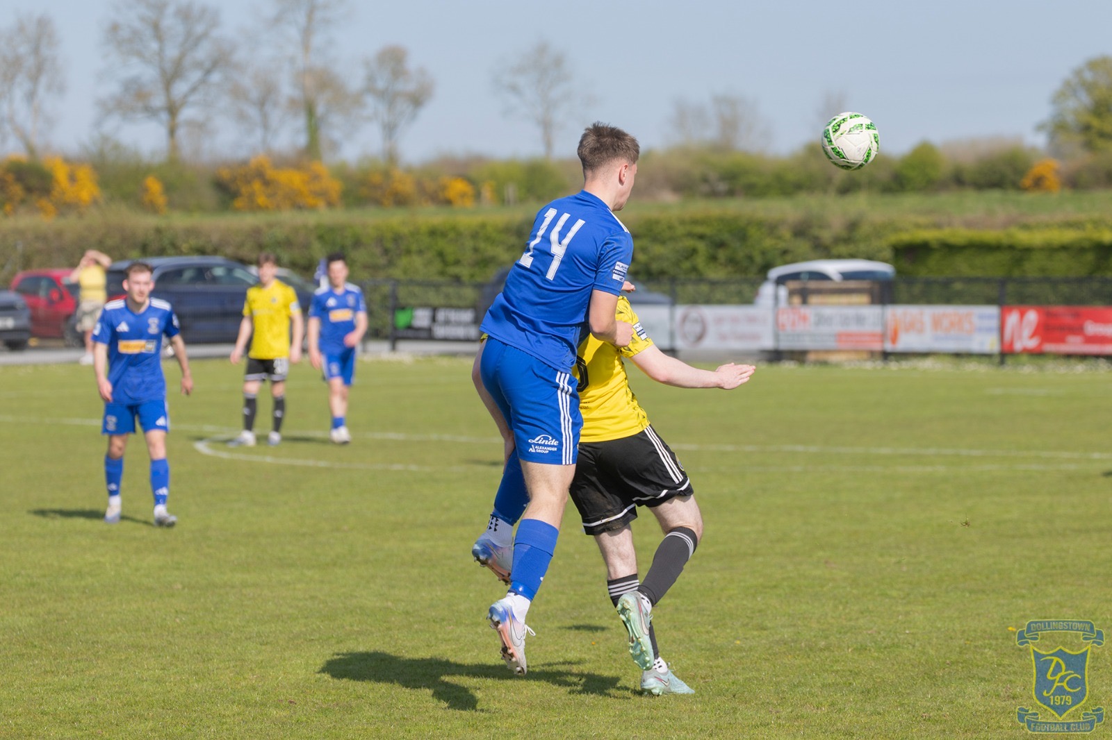 v Moyola