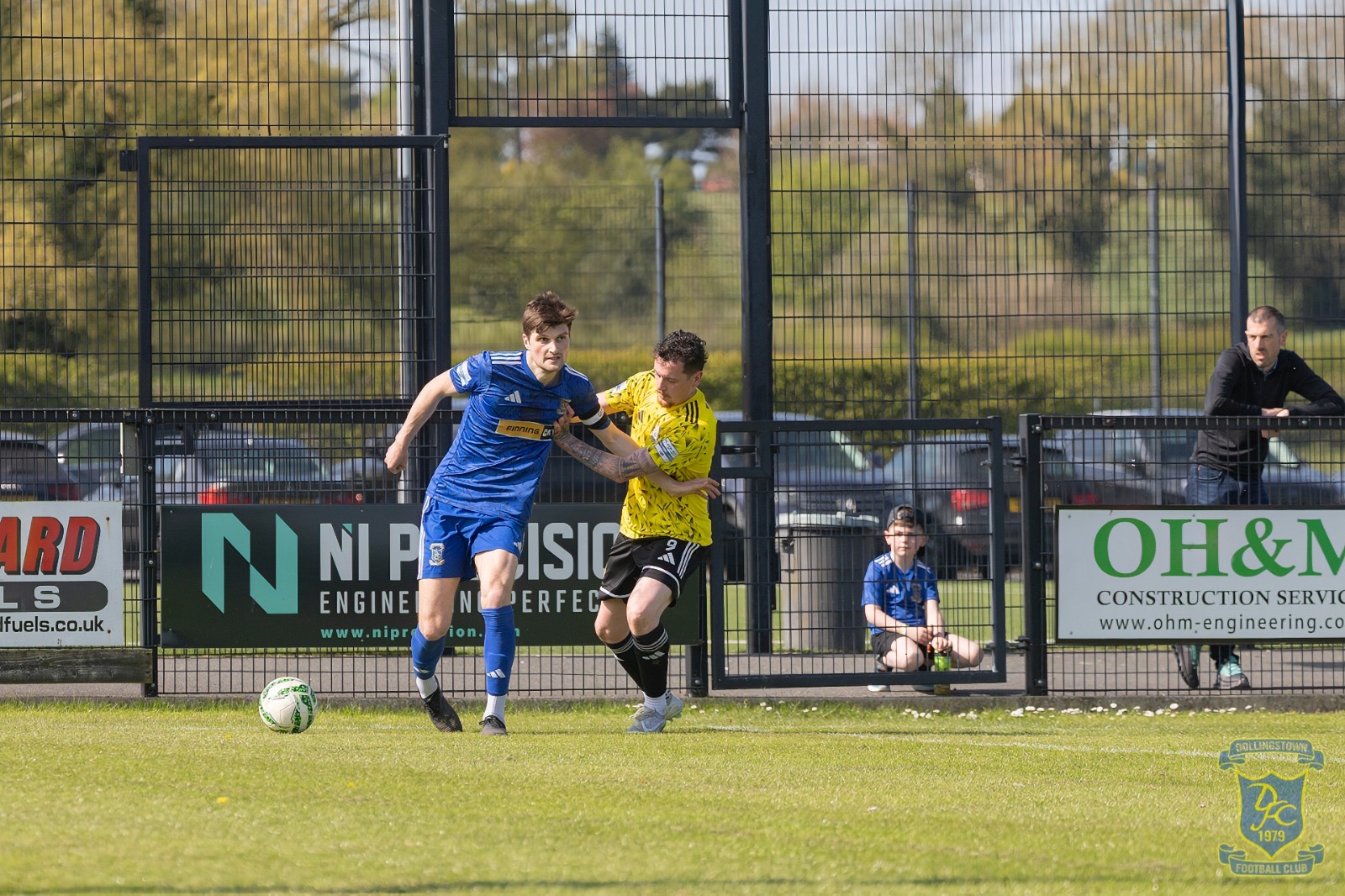 v Moyola