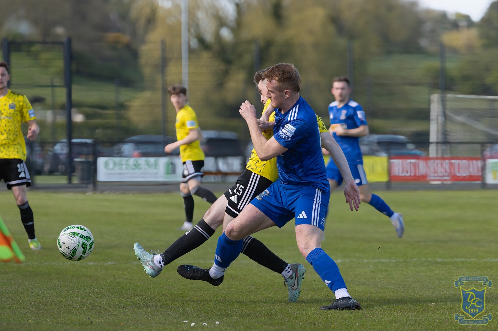 v Moyola