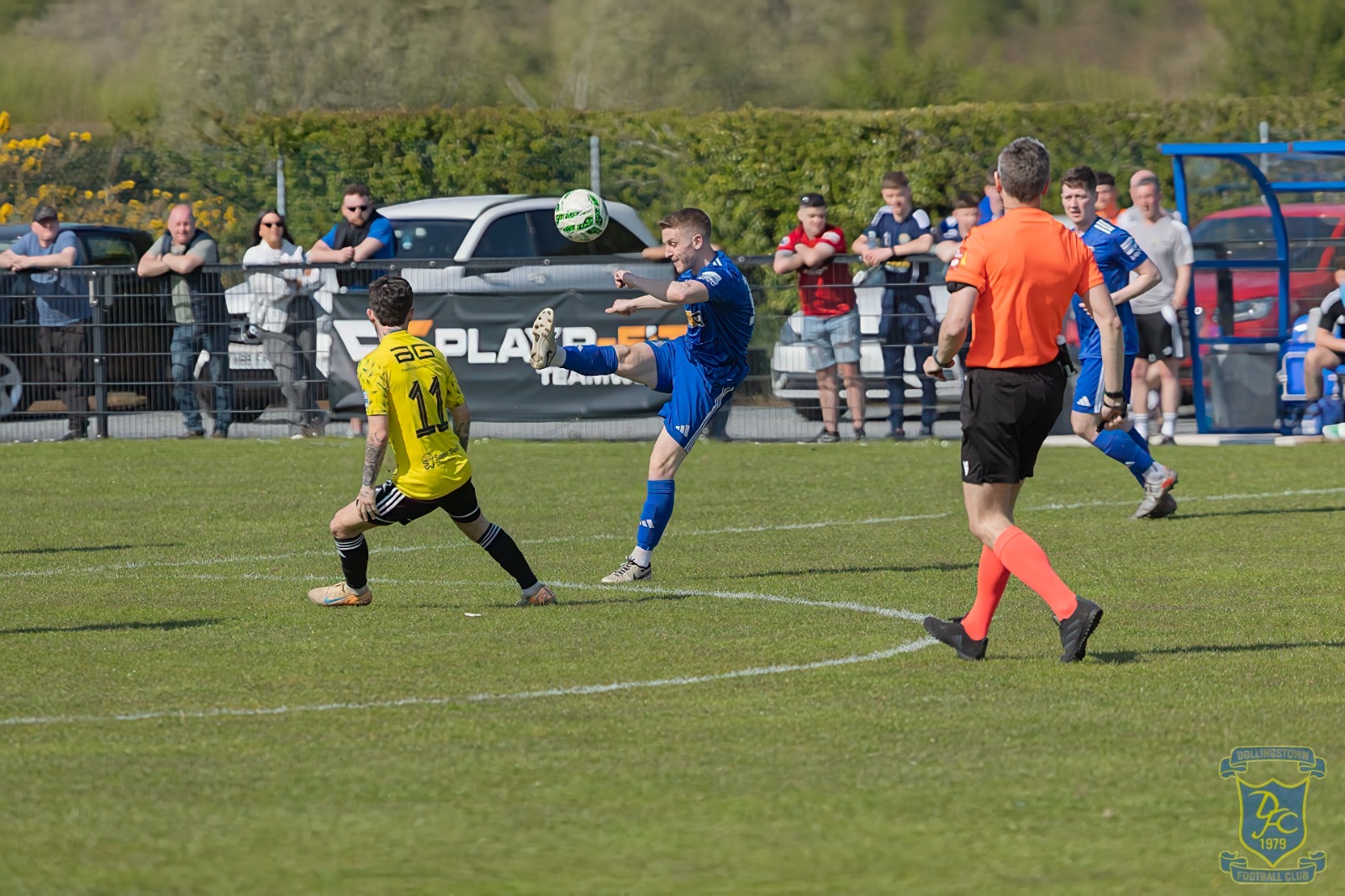 v Moyola