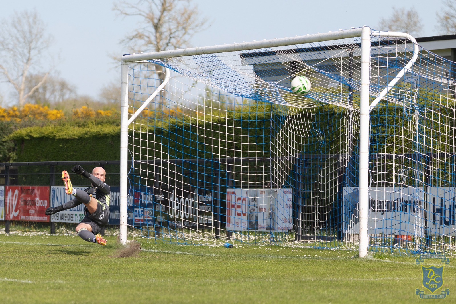 v Moyola
