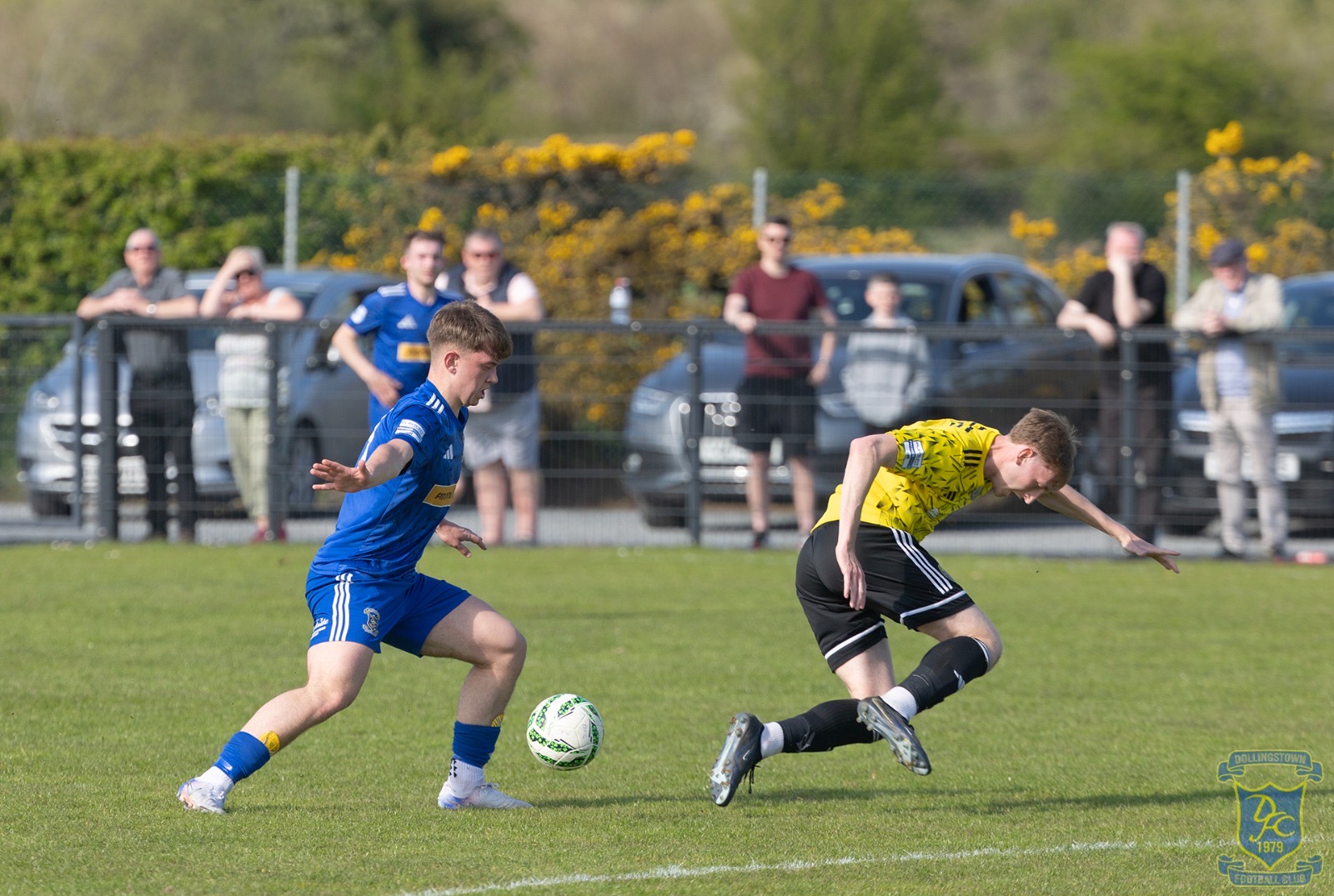v Moyola
