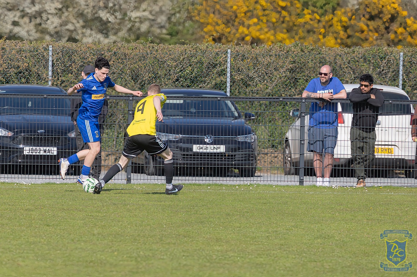 v Moyola