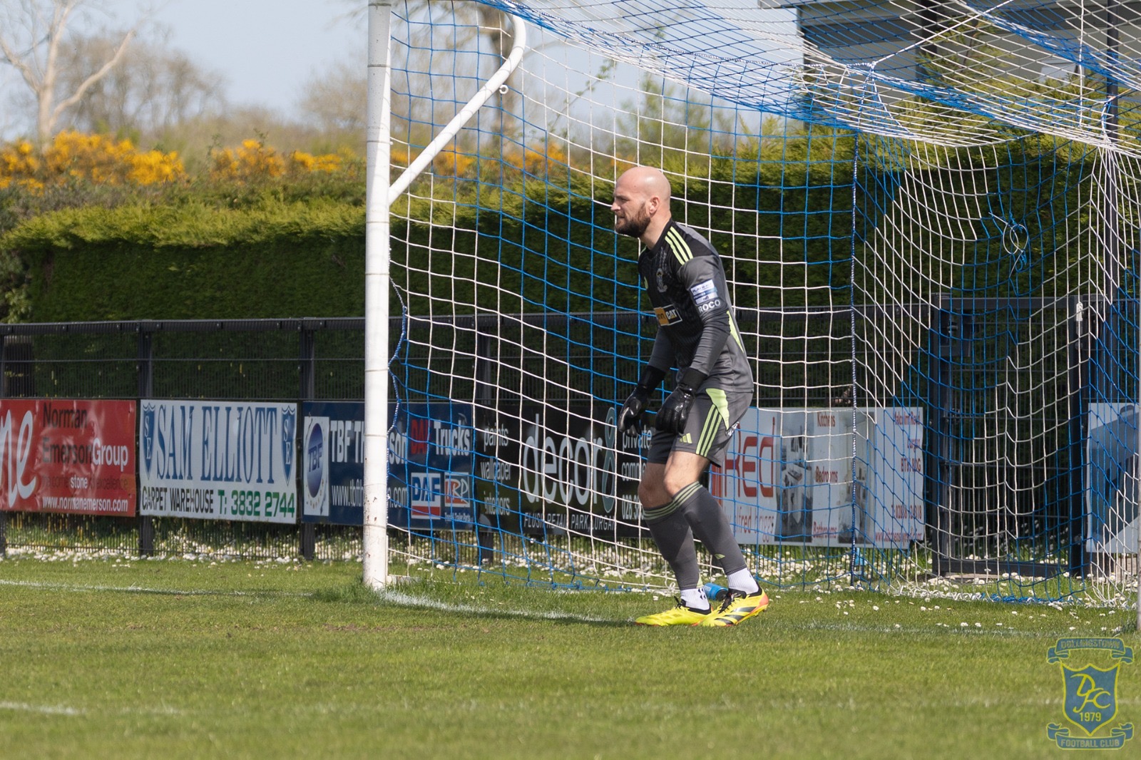 v Moyola