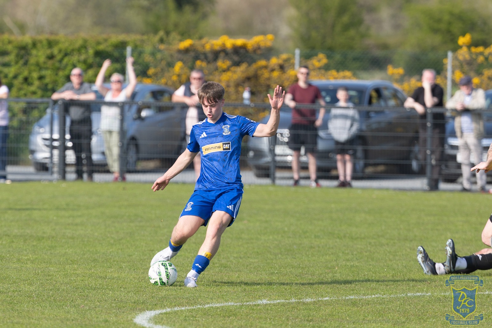 v Moyola