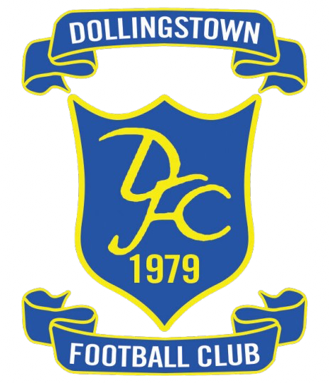 Dollingstown FC